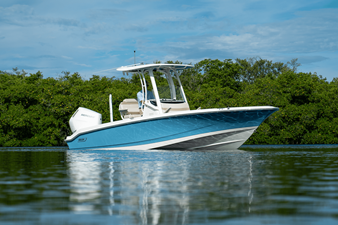 2026 Boston Whaler 250 Dauntless 24