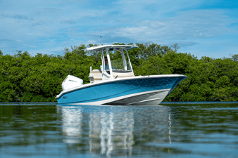 2026 Boston Whaler 250 Dauntless 25