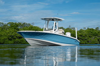 2026 Boston Whaler 250 Dauntless 28