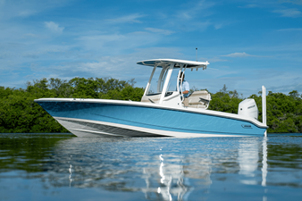 2026 Boston Whaler 250 Dauntless 29