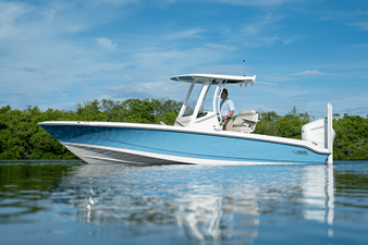 2026 Boston Whaler 250 Dauntless 30