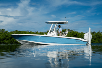 2026 Boston Whaler 250 Dauntless 31