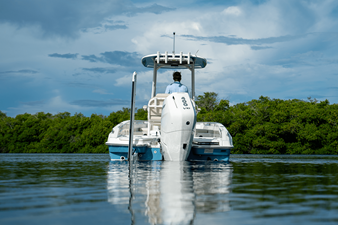 2026 Boston Whaler 250 Dauntless 35