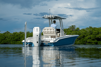 2026 Boston Whaler 250 Dauntless 36