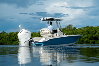 2026 Boston Whaler 250 Dauntless 37