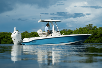 2026 Boston Whaler 250 Dauntless 39
