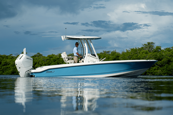 2026 Boston Whaler 250 Dauntless 40