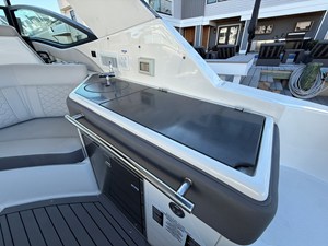 Sea Ray 320 SUNDANCER 41 2021 Sea Ray 320 SUNDANCER 42