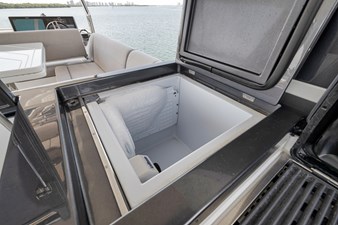Nauti Cookie 81 