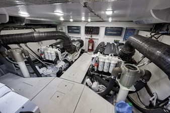 Nauti Cookie 95 
