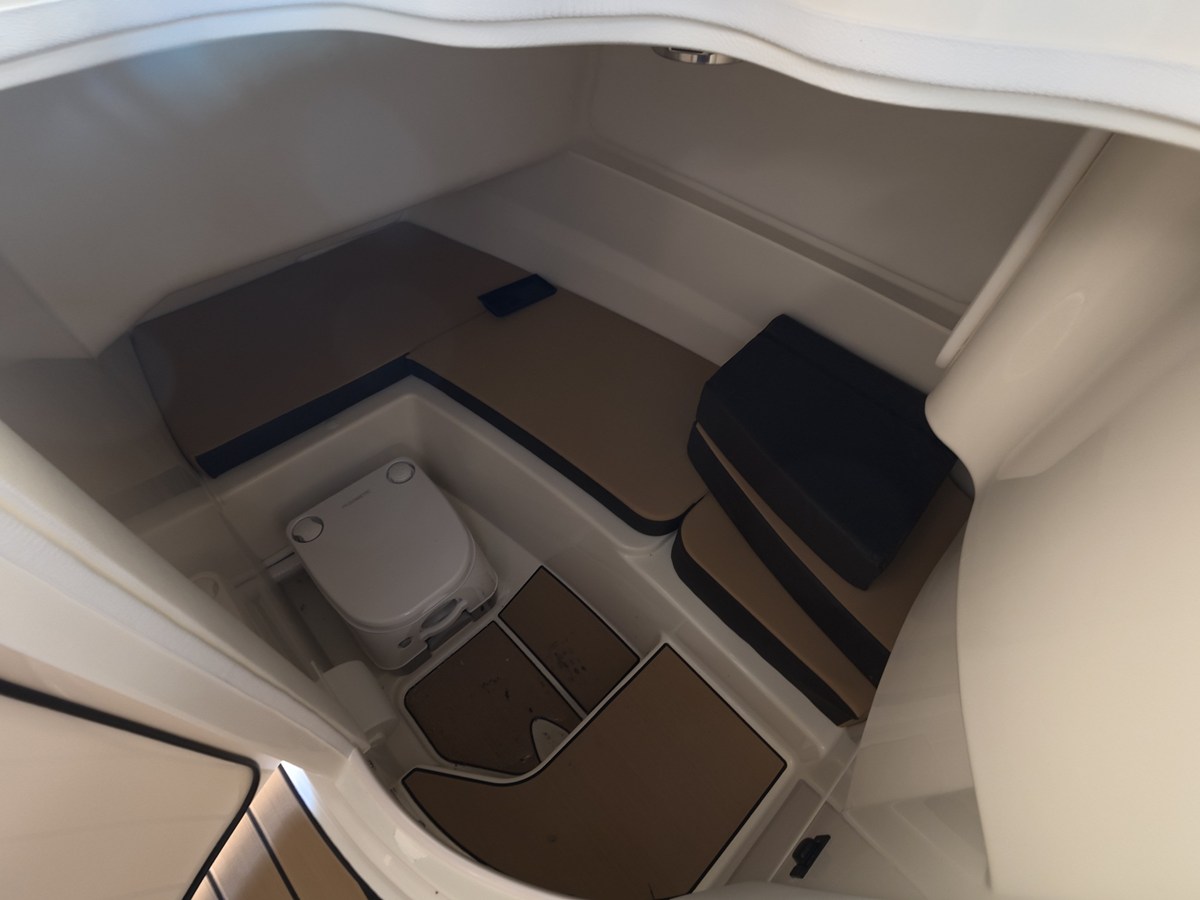 2026 Sea Ray SDX 230 Outboard 18