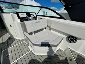 2026 Sea Ray SDX 230 Outboard 11