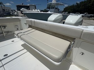 Boston Whaler 315 CONQUEST 11 2018 Boston Whaler 315 CONQUEST 12