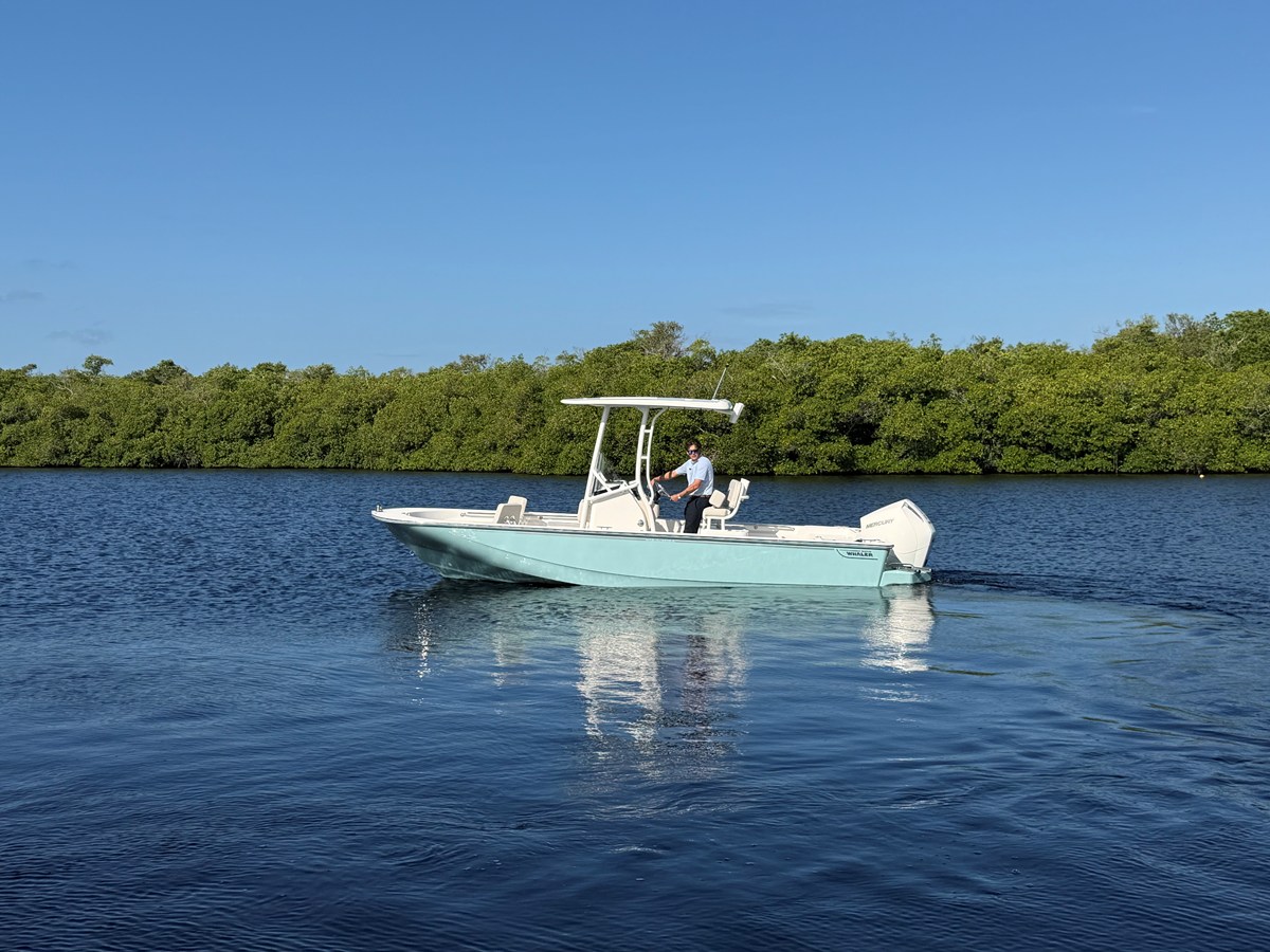 2027 Boston Whaler 210 Montauk 5