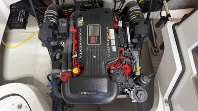2011 Cobalt 242 24