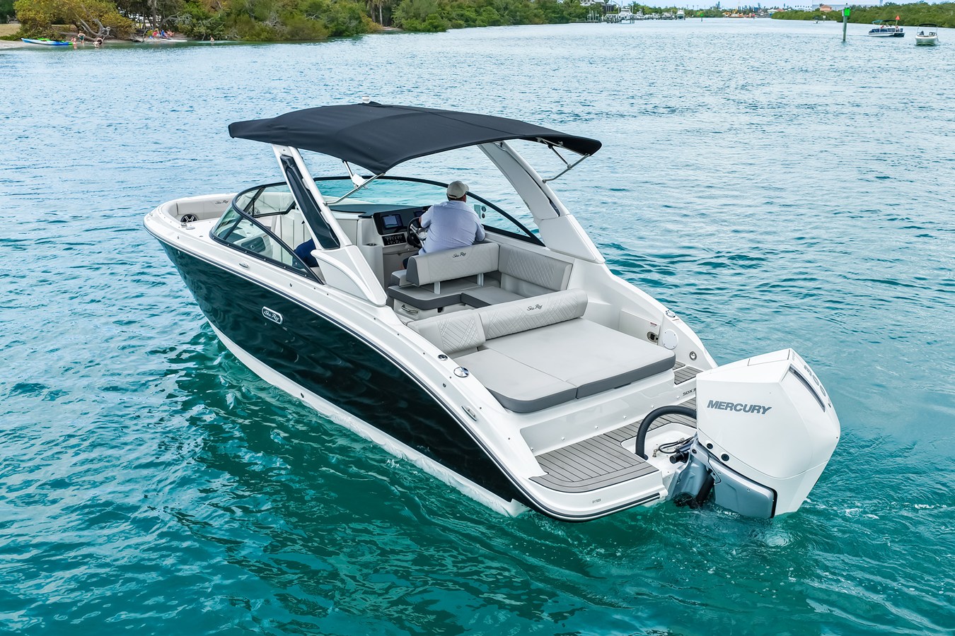 2026 Sea Ray SDX 250 Outboard 45