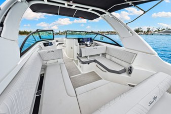 2026 Sea Ray SDX 250 Outboard 11