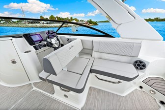 2026 Sea Ray SDX 250 Outboard 14