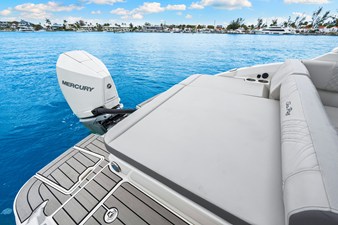 2026 Sea Ray SDX 250 Outboard 38