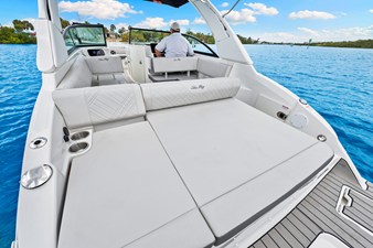 2026 Sea Ray SDX 250 Outboard 39