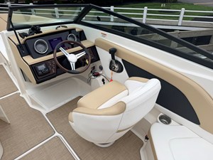 2018 Sea Ray SPX 230 10