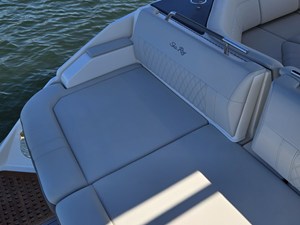 Sea Ray SLX 400 26 2020 Sea Ray SLX 400 27