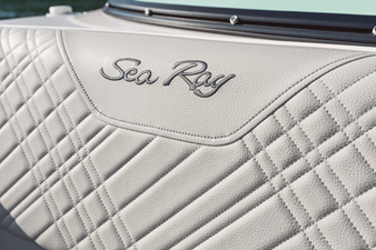 2027 Sea Ray SDX 250 Outboard 9