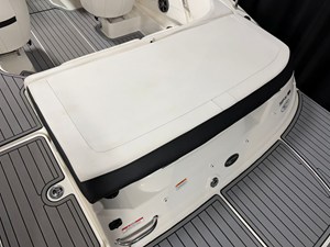 2021 Sea Ray SPX 190 16