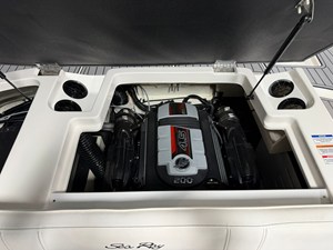 2021 Sea Ray SPX 190 25