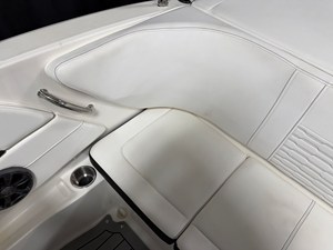 2021 Sea Ray SPX 190 29