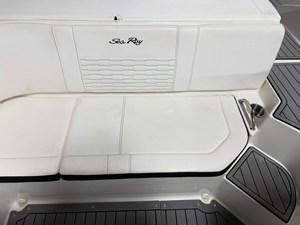 2021 Sea Ray SPX 190 31