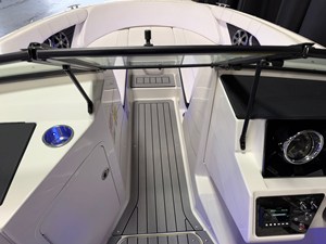 2021 Sea Ray SPX 190 54