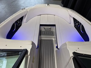 2021 Sea Ray SPX 190 56