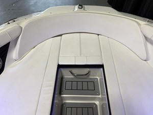 2021 Sea Ray SPX 190 64