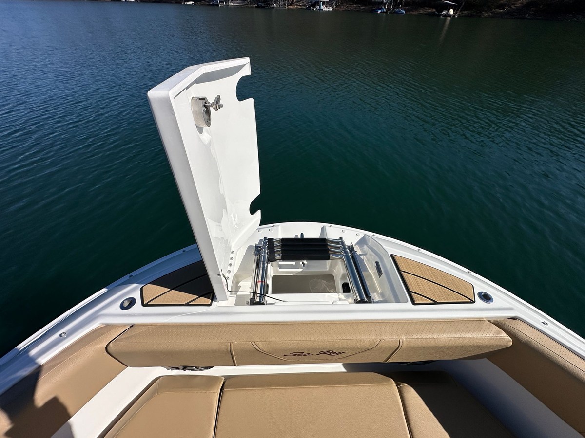 2026 Sea Ray SDX 230 16