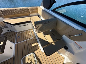 2026 Sea Ray SDX 230 25