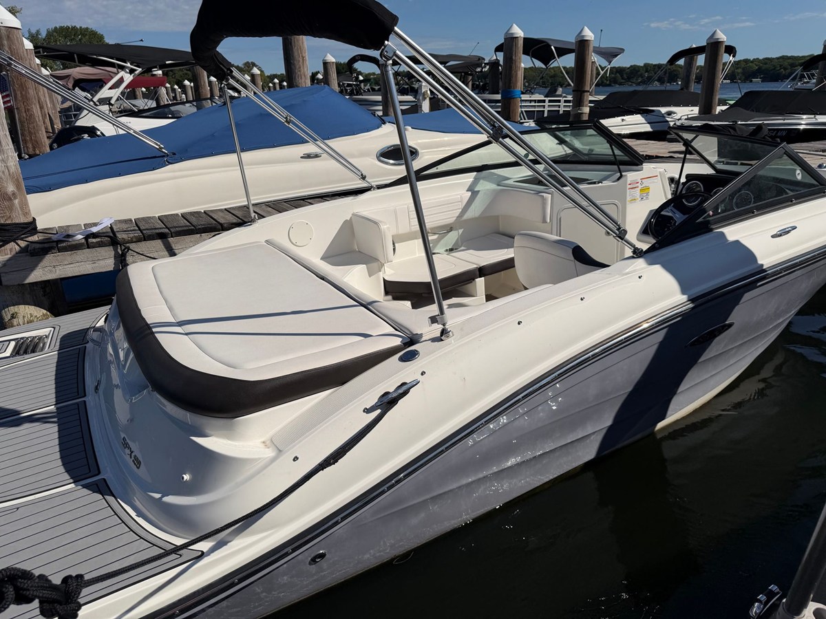 2019 Sea Ray 190 SPX 3