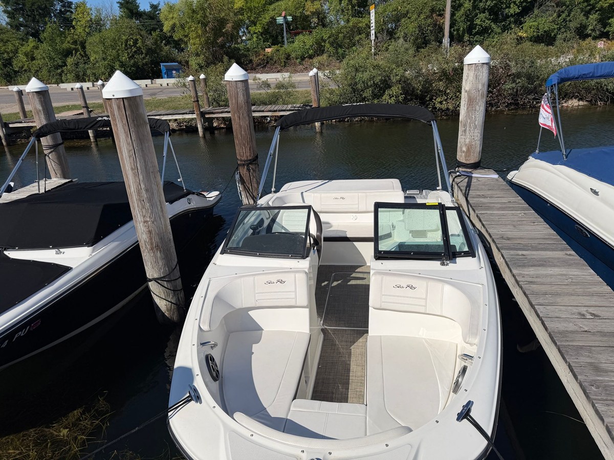 2019 Sea Ray 190 SPX 4