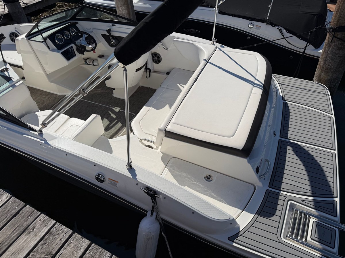 2019 Sea Ray 190 SPX 5