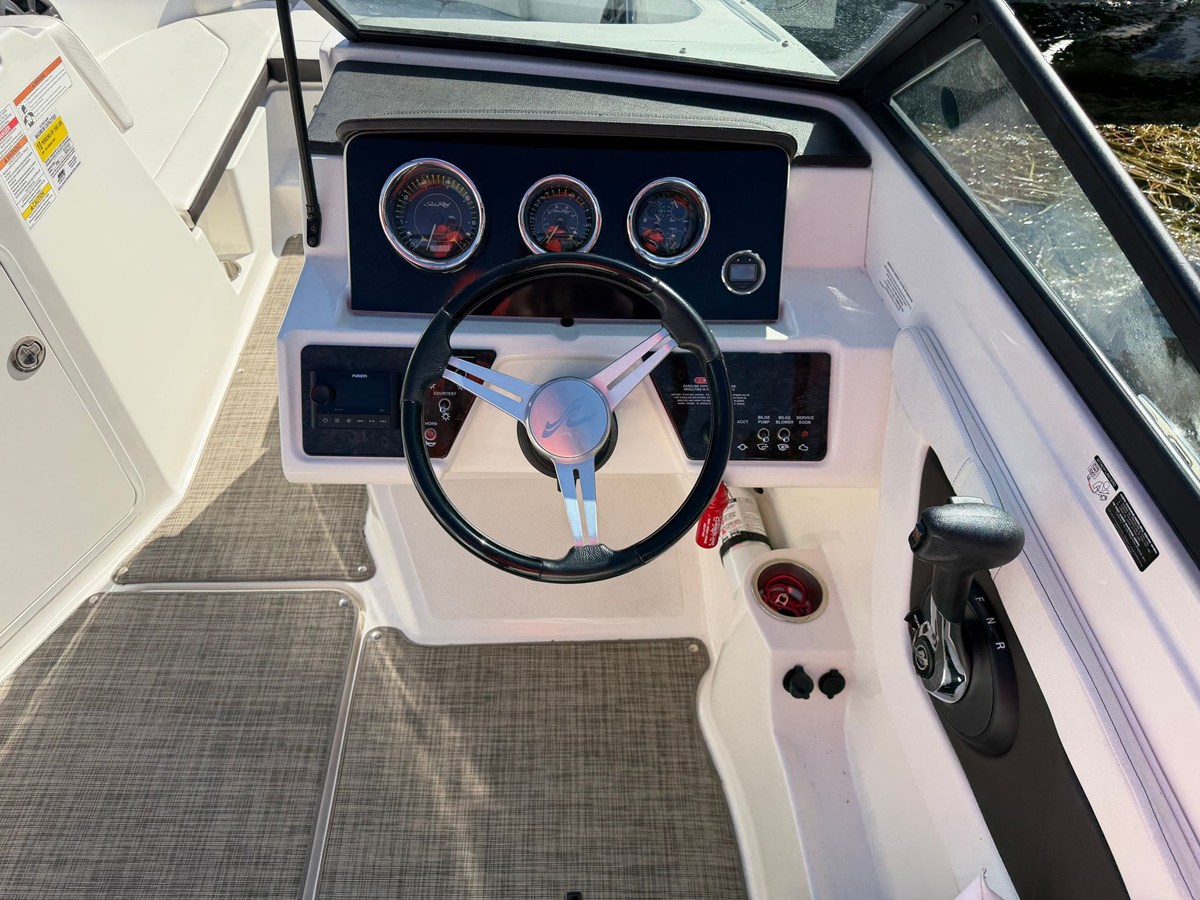 2019 Sea Ray 190 SPX 10