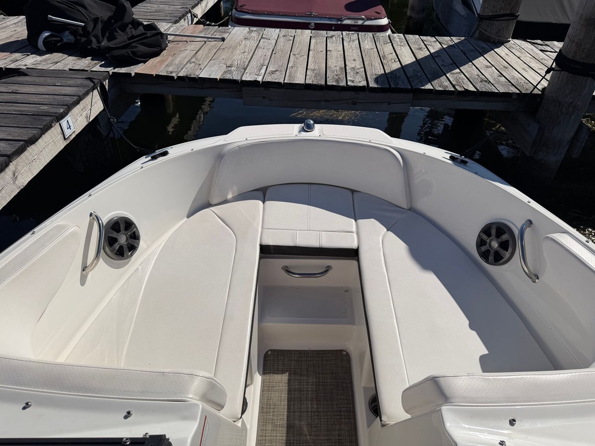 2019 Sea Ray 190 SPX 12