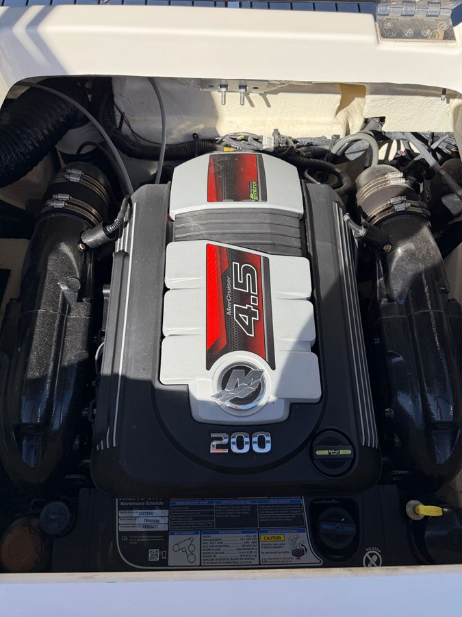2019 Sea Ray 190 SPX 17