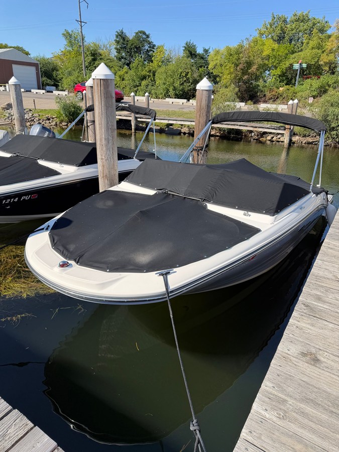 2019 Sea Ray 190 SPX 18