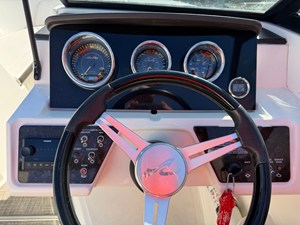 2019 Sea Ray 190 SPX 15