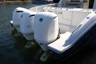 Pursuit DC 365 DUAL CONSOLE 21 2019 Pursuit DC 365 DUAL CONSOLE 22