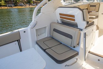 Pursuit DC 365 DUAL CONSOLE 26 2019 Pursuit DC 365 DUAL CONSOLE 27