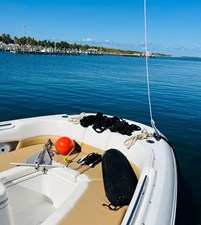 Boston Whaler 320 VANTAGE 34 2016 Boston Whaler 320 VANTAGE 35