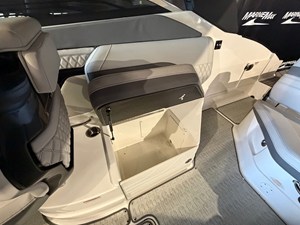 2024 Sea Ray SLX 260 19