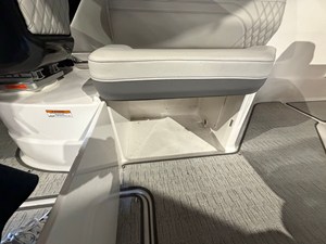 2024 Sea Ray SLX 260 21
