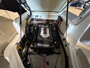 2024 Sea Ray SLX 260 23